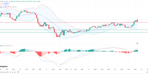 Bitcoin's Uptrend Intensifies: $88k Now Acts as New Support After November 24 Breakout