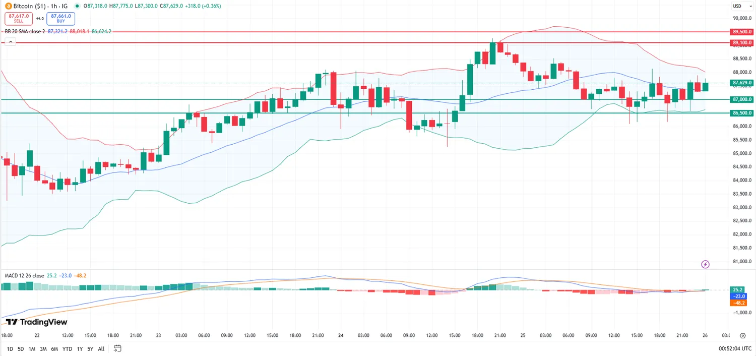 Bitcoin Price Trends