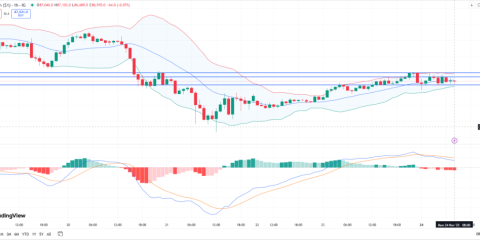 November 24: Bitcoin's Strong Bounces at 86,500 and 86,300 Signal Bullish Momentum